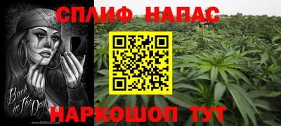тгк Новозыбков