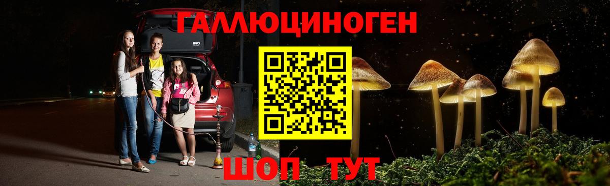 Галлюциногенные грибы GOLDEN TEACHER  Вход с VPN  Псилоцибиновые грибы мухоморы  цена наркотик  Похвистнево 